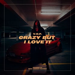 Crazy but I Love It