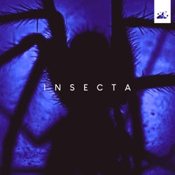 INSECTA