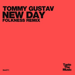 New Day (Folkness Remix)