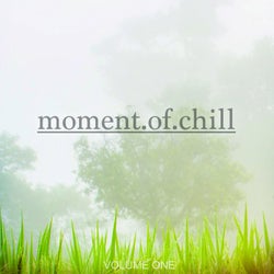 Moment Of Chill, Vol. 1 (Selection Of Finest Ambient & Relaxing Beats)