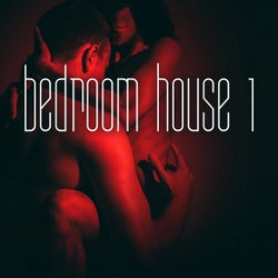Bedroom House, Vol. 1