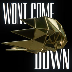 Won't Come Down (Extended Mix)