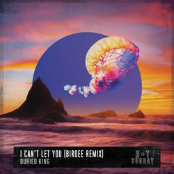 I Can't Let You (Birdee Remix)