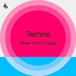 Summer Sounds 2021: Techno (P/D)