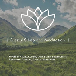 Blissful Sleep And Meditation (Music For Relaxation, Deep Sleep, Meditation, Relieving Sorrow, Gaining Positivity)