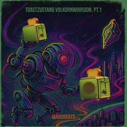 Toastzustand Volkornwirrsion, Pt.1
