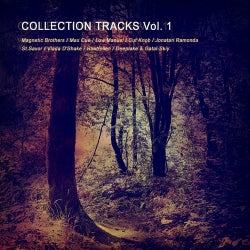 Collection Tracks Vol. 1