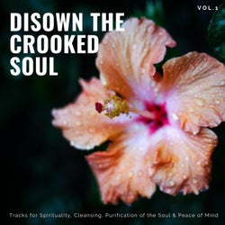 Disown The Crooked Soul - Tracks For Spirituality, Cleansing, Purification Of The Soul & Peace Of Mind, Vol.1