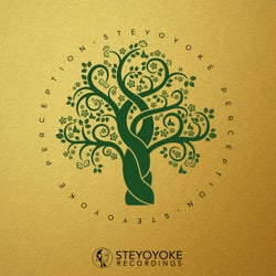 Steyoyoke Perception, Vol. 05