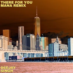 There For You (feat. Mana) - Remix