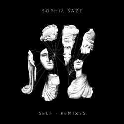 Self Remixes