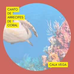 Canto De Arrecifes De Coral