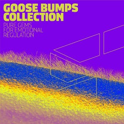 Goose Bumps Collection, Vol. 7
