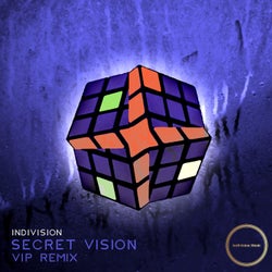 Secret Vision (VIP Remix)