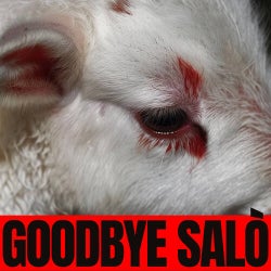 GOODBYE SALÒ