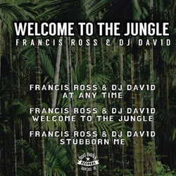 Welcome to the Jungle