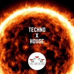 TECHNO X HOUSE