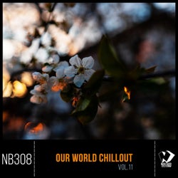Our World Chillout, Vol. 11