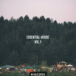 Essential House, Vol. 1