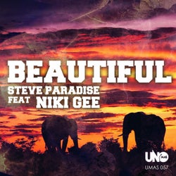 Beautiful (feat. Niki Gee) [Lukas Wolf Remix]