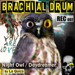 Night Owl / Daydreamer