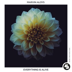 Everything Is Alive