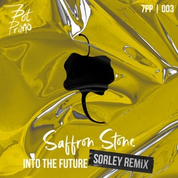 Into The Future (Sorley Remix)
