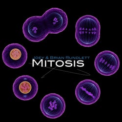 Mitosis