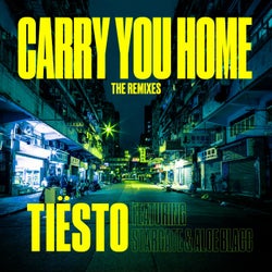 Carry You Home (feat. StarGate & Aloe Blacc)