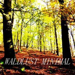 Waldlust Minimal (Electronic music for forrest)