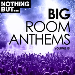 Nothing But... Big Room Anthems, Vol. 15