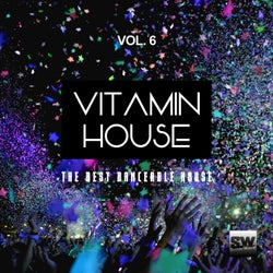 Vitamin House, Vol. 6 (The Best Danceable House)