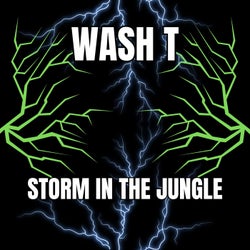 Storm in the Jungle