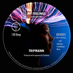 My Feelings (Extended Mix)