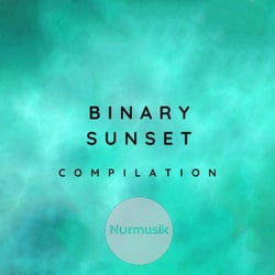 Binary Sunset