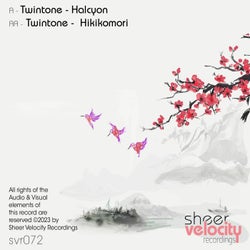 Halcyon / Hikikomori