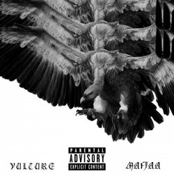 Vulture