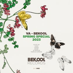 VA - Bekool Spring Special 2023