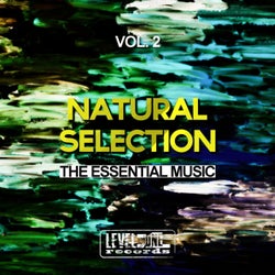 Natural Selection, Vol. 2 (The Essential Music)