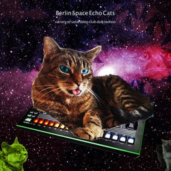 Berlin Space Echo Cats (Variety of Solid Deep Dub Techno)