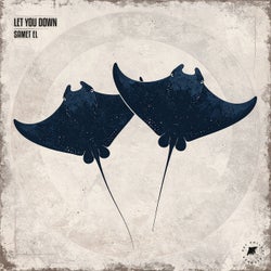 Let You Down