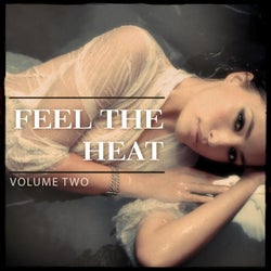 Feel the Heat, Vol. 2 (Fantastic Selection Of EDM & Progressive House Bangers To Bounce Around)