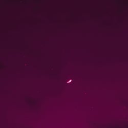 Awake Night's