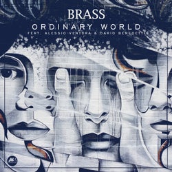 Ordinary World (Cover)