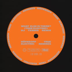 What Else Is There? (DJ Tennis Remix)