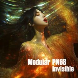 Invisible
