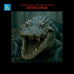 Developer