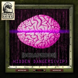 Hidden Dangers (VIP)