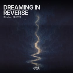 Dreaming In Reverse
