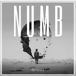 NUMB Remixes (Light Edition)